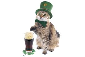 Maybe you would like to learn more about one of these? Can Cats Eat Corned Beef And Cabbage Findpetinsurance Co Uk