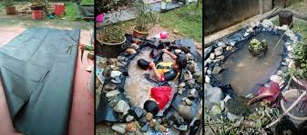 Kolam Ikan Tilapia Mini