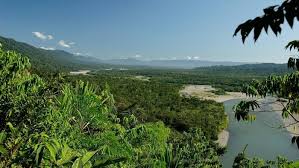 You could fit four germanys within its borders with room left over for, say, greece. Amazonas Kein Puffer Mehr Telepolis