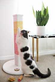But how and why do they choose that person? Colorblocked Scratching Post Diy A Beautiful Mess