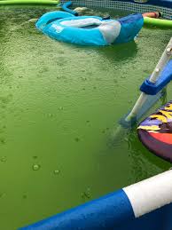 You need to brush the entire. Help Pool Is Green Was More Brownish Just Added In Metal Out Per The Pool Store Instructions And Shock The Following Day But This Is As Good As We Got The Pool