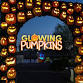 Glowing Pumpkins event image