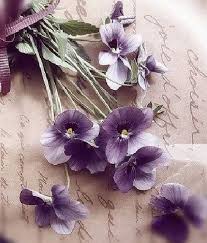 We did not find results for: Aesthetic Flowers Explore Tumblr Posts And Blogs Tumgir
