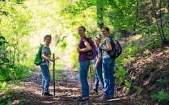 Hiking in Wilton and Beyond: An Introduction