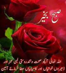 Pin By Saira Saleh On Good Morning Good Morning Flowers Beautiful Morning Messages Good Night Messages