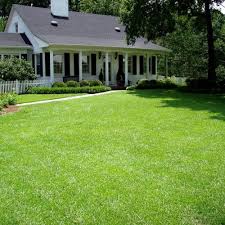 Heavily water sod for approximately two weeks after installation. Centipede Grass Seed Warm Climate Grass Seed