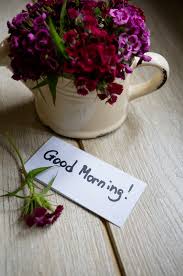 The most significant capacity that flowers have is that the ability to pass on human feelings and contemplation's. Good Morning Images Hd Wallpapers Free Download Best Collection Az Quotes