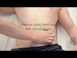 Image result for Shifting Dullness Test