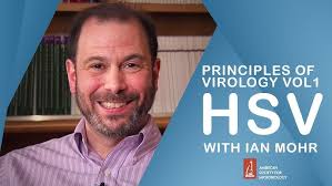 Interview with Sandra Weller, PhD, Vol 1, Ch. 9: Principles of Virology,  4th Edition