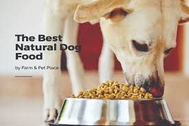 There are no artificial colours or flavours in our at harringtons we're on a mission to make natural food the natural choice for every pet. Best Natural Dog Food The Top Natural Food For Dogs