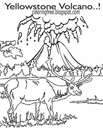 A collection of english esl worksheets for home learning, online practice, distance learning and english classes to teach about kids, kids. Free Coloring Pages Printable Pictures To Color Kids Drawing Ideas Printable Yellowstone Park Coloring American Wildlife Kids Drawings