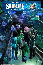 Ad Kids Go Free To Grapevine Sea Life Aquarium Coupon Travel Usa Usa Travel Destinations America Travel