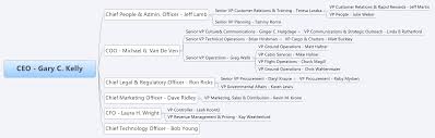 Organizational Structure Analysis For Southwest Airlines Co