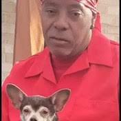 Lilly Family Obituaries