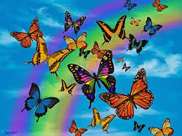 Check spelling or type a new query. Beautiful Colors Of The Rainbow Rainbow Butterflies Rainbow Butterfly Butterfly Wallpaper