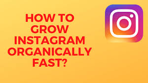Maybe you would like to learn more about one of these? How To Grow Your Instagram Organically In 2020