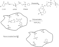 Click to see full answer correspondingly, can you mix roundup with other herbicides? Molecularly Imprinted Polymer For 2 4 Dichlorophenoxyacetic Acid Prepared By A Sol Gel Method Springerlink