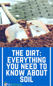 What do we call the best type of garden soil. Small Space Vegetable Gardening Choosing The Best Potting Soil For Your Garden Lobotany