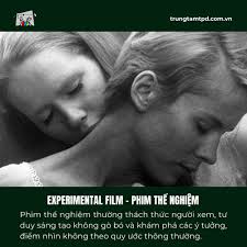 THỂ LOẠI PHIM THỂ NGHIỆM