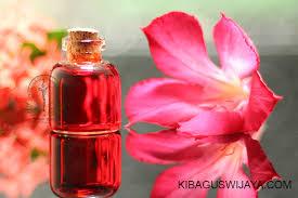 Saya adalah seorang dosen disebuah universitas yang ada di kota surabaya. Minyak Jafaron Untuk Meningkatkan Power Pusaka Dan Benda Bertuah