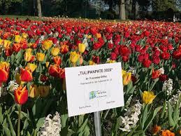 Der 90 hektar große britzer garten bietet gartenkunst mit gepflegten gärtnerischen anlagen und natur. Britzer Garten Beitrage Facebook