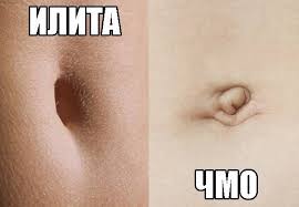 Картинки по запросу гиф пупок