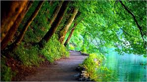 We have a massive amount of desktop and mobile backgrounds. 4k Wallpaper For Nature Green Nature Wallpaper Nature Desktop Wallpaper Nature Wallpaper