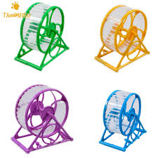 Check spelling or type a new query. Hewan Peliharaan Jogging Hamster Mouse Mouse Kecil Latihan Mainan Berjalan Spinner Olahraga Roda Warna 1pcs Aliexpress