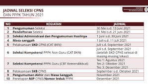Setelah pengumuman ada beberapa hal yang bisa anda lakukan. Jangan Sampai Terlewat Jadwal Tes Cpns 2021