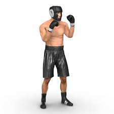 3d adult boxer man pose