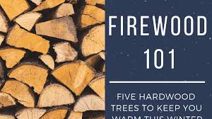 You see, a tree service is giving you wood that someone wanted removed, maybe it was a dying tree. Best Types Of Hardwood Trees To Use For Firewood Oak Cherry Sassafras Locust And Ash Dengarden Home And Garden