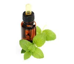 Peppermint Oil Gets Rid Of Mice Aceite De Hierbabuena Te Ayuda A Deshacerte De Ratone Peppermint Oil Benefits Peppermint Essential Oil Peppermint Foot Lotion