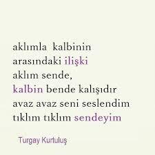 Ozlusozler Turgaykurtulus Siir Sair Siirsokakta
