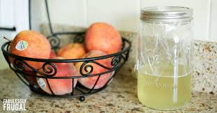 Goodbye House Flies Easy Diy Fly Trap Homemade Version Recipe Diy Fruit Fly Trap Fruit Fly Trap Diy Diy Fly Trap