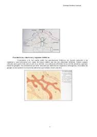 Drenaje Linfatico Manual En 2020 Drenaje Linfatico Manual Linfatico Drenaje