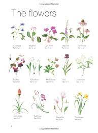 It has a sweet sugary pink hue that it makes it. A Z Of Botanical Flowers Amazon Co Uk Michael Lakin Books Botanical Flowers Botanical Illustration Watercolor Botanical