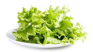 Produksi selada dunia diperkirakan sekitar 3 juta ton,yang ditanam pada lebih dari 300.000 halahan. Manfaat Lettuce Untuk Perawatan Kulit