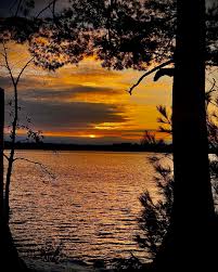 Richard Govier (@viergo1) • Instagram photos and videos