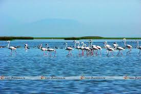 Chilika Lake Trip2odisha In Adventure actvities around chilika lake. chilika lake trip2odisha in