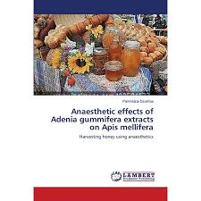 Image result for Adenia gummifera