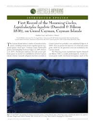 Pdf First Record Of The Mourning Gecko Lepidodactylus Lugubris Dumeril Bibron 1836 On Grand Cayman Cayman Islands