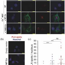 Jose OLLOQUI-SARIEGO