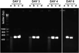 Pests are a pain, and we're ready to remove yours. Https Onlinelibrary Wiley Com Doi Pdf 10 1002 Arch 21645