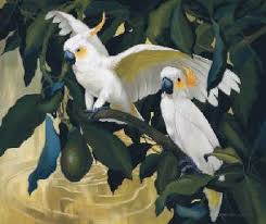 Birds That Start With A P Cockatoos And Avocado Birds Painting Bird Illustration Australian Native Birds