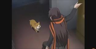 Rude Anime Girl Slaps Dog In The Face Coub The Biggest Video Meme Platform Looking to watch yozakura quartet anime for free? rude anime girl slaps dog in the face