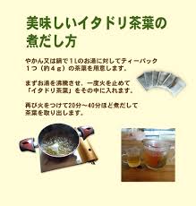 イタドリ葉茶 イタドリの葉には多量のポリフェノールが含まれていることが分かりました 土佐文旦の文吉のブログ