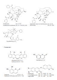 Image result for Gnidia chapmanii