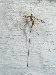 See which businesses are most recommended, upcoming events and promotions, and more. Able Pest Control Inc Facebook