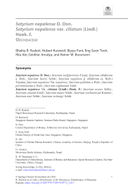 Image result for Satyrium amblyosaccos