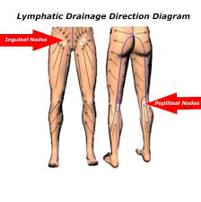 Though formal scientific research on the subject is rather limited, there are a. Pin On Lymphatic Drainage Massage